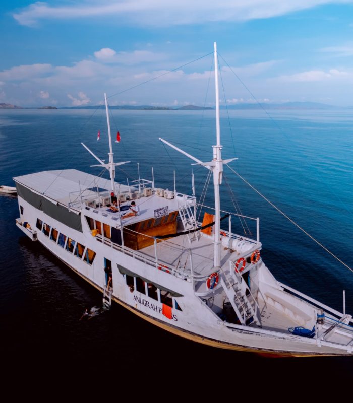 Komodo Tours 10